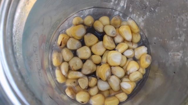 ЖИВЕМО ПРОСТО РЕДИСКА НА НАСІННЯ смотреть онлайн