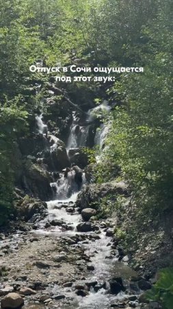 Какие цены в Сочи?