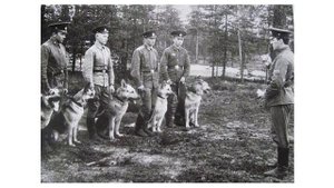 Профориентационно-познавательная программа «О профессиях разных, нужных и важных»