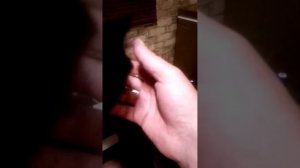 Котенок БАРСИК смотрит СПАРТАК