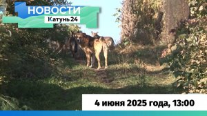 Новости Алтайского края 4 июня 2025 года, выпуск в 13:00