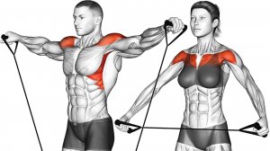 9 Упражнений с Ремнями для Тренировки с собственным весом