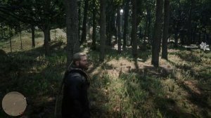Аляскинский женьшень (alaskan ginseng) Red Dead Redemption 2