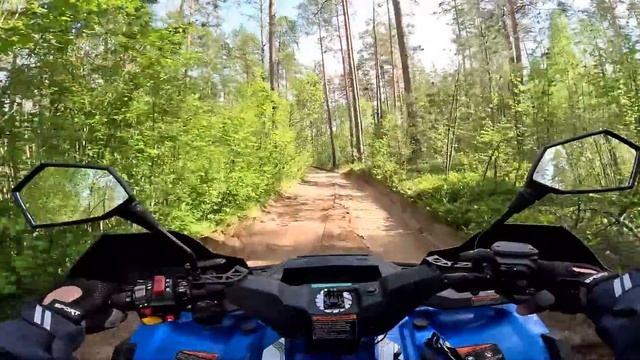 Так надо жить ! Куда приехал ? Хутор в лесу №708