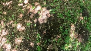 Нашел лагерь кладоискателя у старинного казачьего поселка. Что он искал?