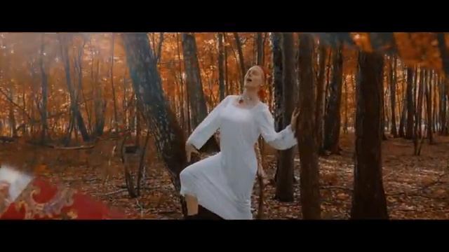 DO$HIK - Лиса (Клип  2024) (360p)