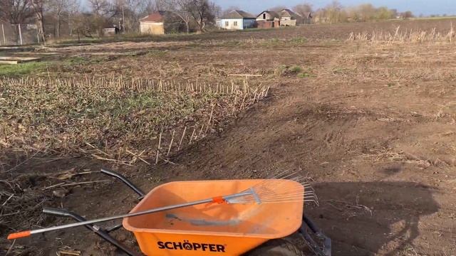 РАНЕЕ УТРО В СЕЛЕ👩🏼🌾УБОРКА ОГОРОДА✔ПРИШОЛ ПОДАР смотреть онлайн