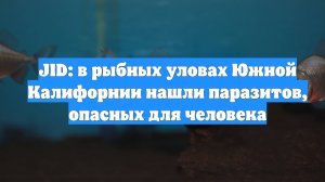 JID: в рыбных уловах Южной Калифорнии нашли паразитов, опасных для человека