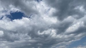 ВЫСШИЙ ПИЛОТАЖ на Як-52 - МЕРТВАЯ ПЕТЛЯ - ПЕРЕГРУЗКИ. Вид