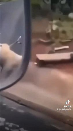 не сегодня чувак 😂