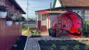 🏡 Продолжаю высаживать цветы на постоянное место. Потеряла ящик с колеусами 🙈