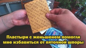 Обзор покупок с маркетплейсов: клавиатура, форма для пряников, пластыри с женьшенем, удобрение