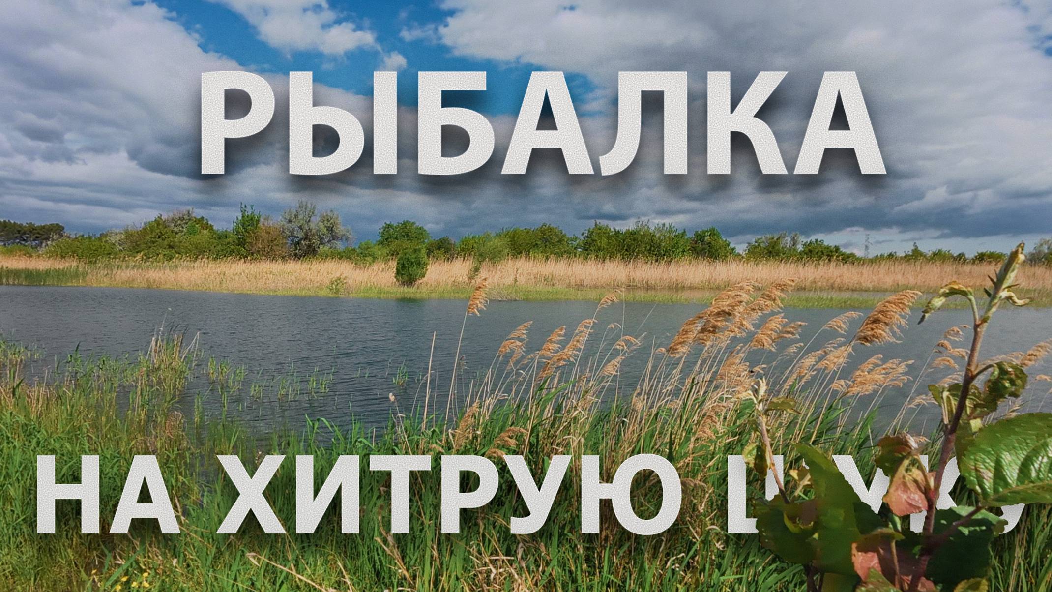 РЫБАЛКА НА ХИТРУЮ ЩУКУ