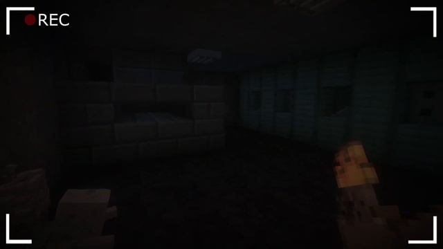 ПРОПАВШИЙ СТАЛКЕР. НЕУПОКОЕННАЯ [ЧАСТЬ 2] - СТРАШИЛКИ М? смотреть онлайн