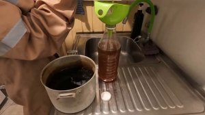 Чайный гриб  /Комбуча/