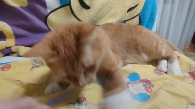 Рыжуха ТВ Играет 14 серия 3 сезон смотреть онлайн