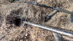 Весенний Металла Коп 2025