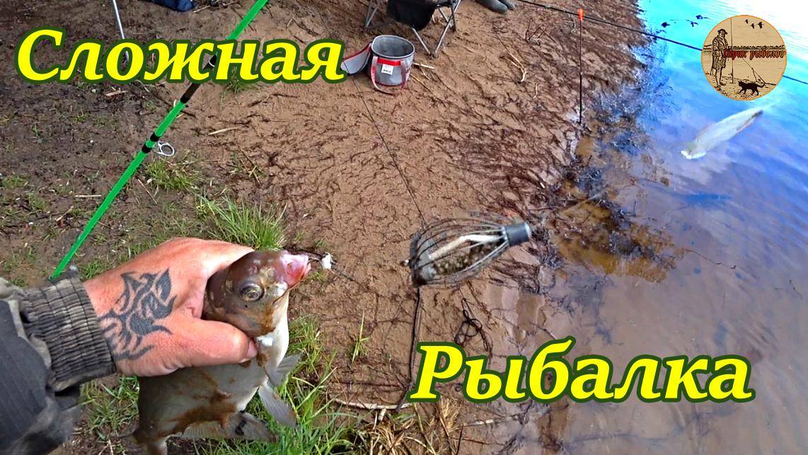 Рыбалка на Донки ранней весной.