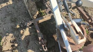 Копаем картошку мотоблоком NFA 70