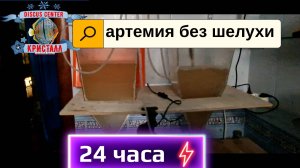 Инкубация артемии в ускоренном темпе без шелухи и мусора.