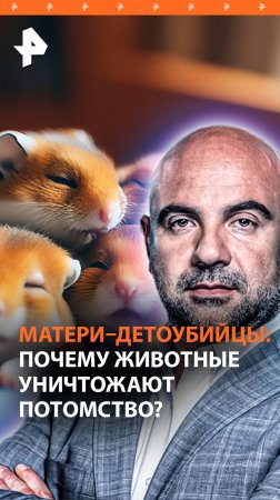 Убивают детей: зачем матери уничтожают потомство / “Как устроен мир”