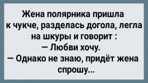 Как Жена Полярника к Чукче Пришла! Сборник Свежих Анекдотов! Юмор! Позитив!