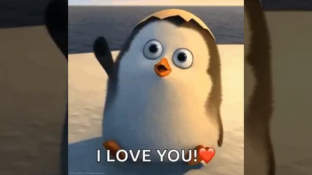 I LOVE YOU! ♥️