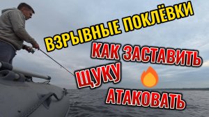 ЩУКА — НЕ ХОЧЕШЬ КЛЕВАТЬ? МЫ ТЕБЯ УБЕДИМ!