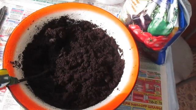 Как увлажнить почву для рассады?