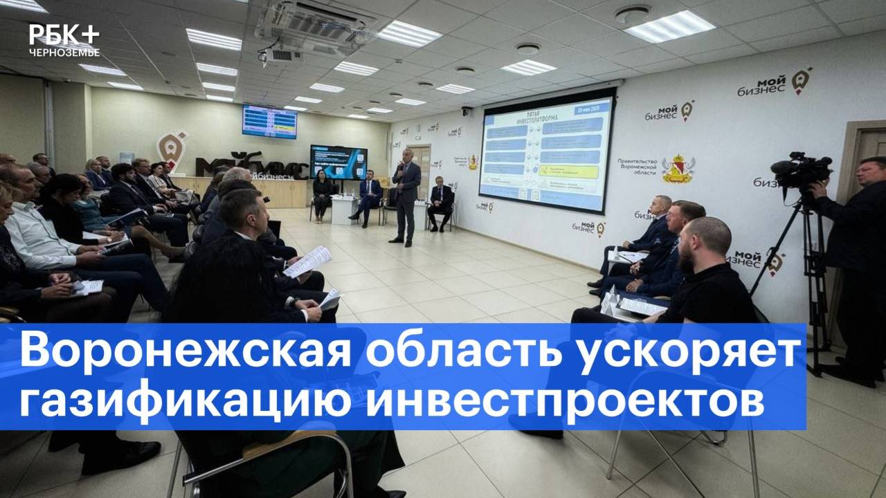 Воронежская область ускоряет газификацию инвестпроектов