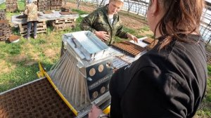 25.04.2025. Посев семян капусты в кассеты.