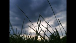 Река. Закаты. Природа