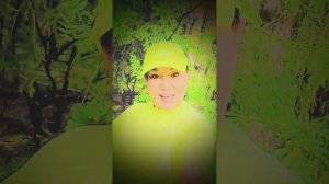 Я тебя дыханьем околдую  Светлана Федорова