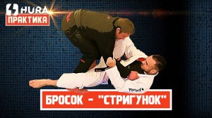 Владимир Блюм - бросок - "Стригунок"