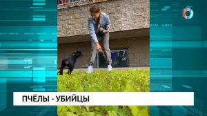 Новости от 04.06.2025