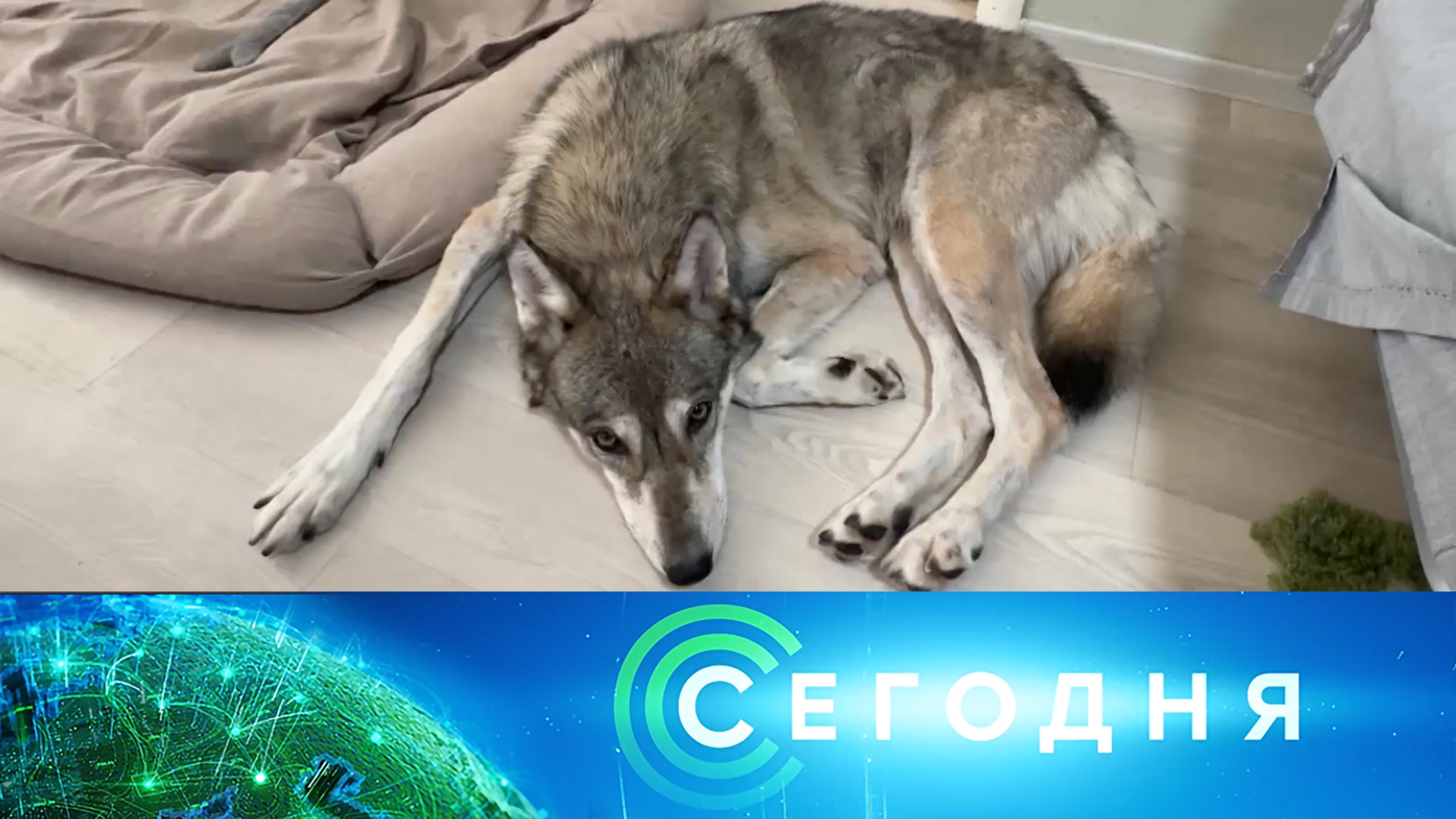 Сегодня: 4 июня 2025 года. 16:00 | Выпуск новостей | Новости НТВ