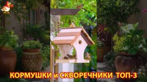 Кормушки и скворечники своими руками для птиц ТОП-3 (35) 🪚🪛🔨 Идеи для дачи и сада пошагово ❣️