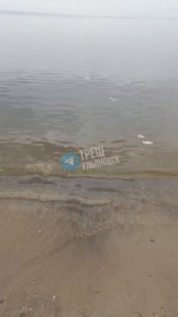 😢 Массовый "наплыв" влажных салфеток у берега за Моторным заводом. Начало купального сезона...  👍