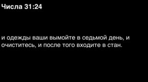 Числа, глава 31