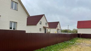 Мухоловка 28.12.24