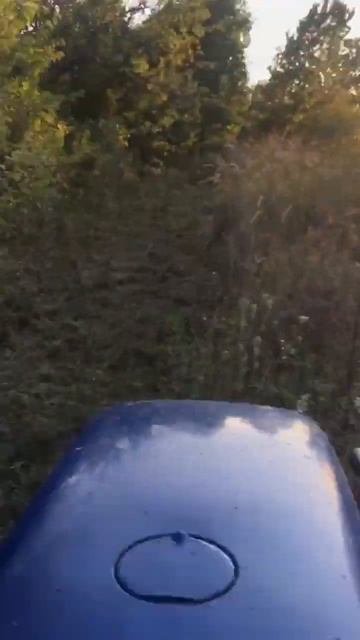 ДТЗ5244НРХ & мульчер CRONIMO FTE 155 смотреть онлайн