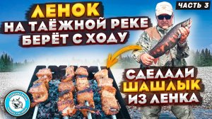 ОТЛИЧНЫЙ ЛЕНОК НА БЛЕСНУ/ШАШЛЫК ИХ ЛЕНКА/НА КРАСИВОЙ РЕЧКЕ/ #рыбалка