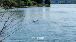 Остров Юность - отличное место для отдыха в центре Ирк?