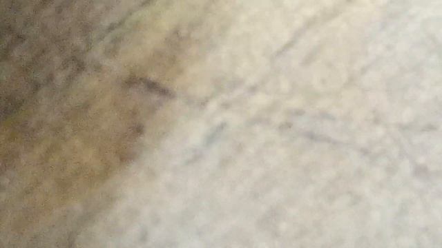 9.8 карбюратор 2т что внутри 44