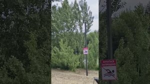 Как дебилушки не могут разобраться с пляжами 🏖 год от года 🤡💩