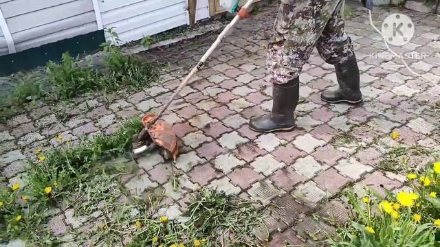 Как очистить тротуарную плитку от травы смотреть онлайн