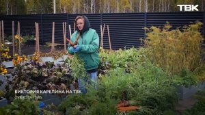 «Дачные советы» с Викторией Карелиной на ТВК / Промо