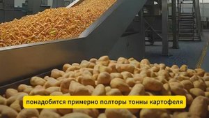 Тайны производства чипсов. Как делают чипсы?