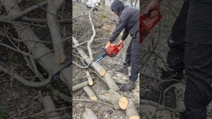 Canfly 5800 , работа бензопилой