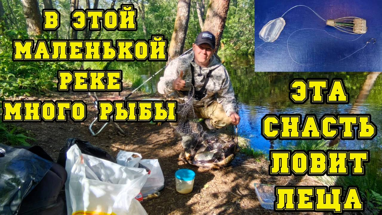 В этой маленькой реке много рыбы! Рыбалка на донку. Эта простая снасть ловит рыбу!